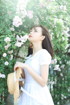 hello,小姐